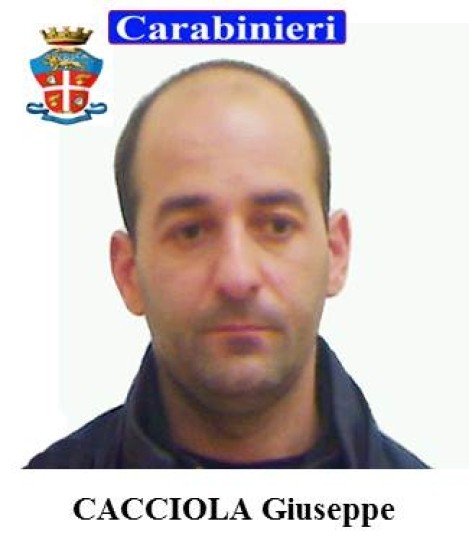 cacciola3