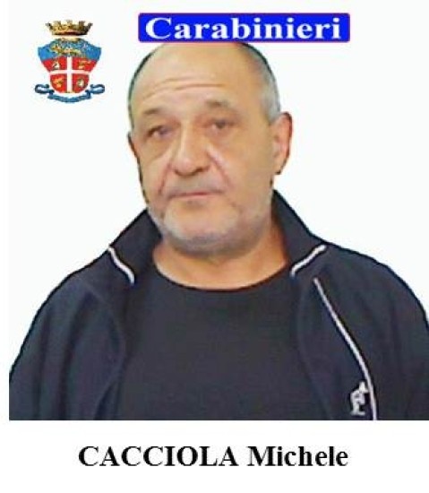 cacciola5