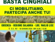 Coldiretti Calabria:basta cinghiali e fauna selvatica incontrollata. E’ mobilitazione anche ad oltranza martedì 18 giugno p.v.