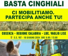 Coldiretti Calabria:basta cinghiali e fauna selvatica incontrollata. E’ mobilitazione anche ad oltranza martedì 18 giugno p.v.