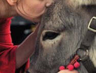 Il film polacco “EO” in proiezione al Chiostro di San Domenico. Continua la rassegna “Cinema in biblioteca” a cura dell’associazione UNA