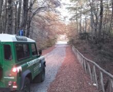 Pascolo abusivo all’interno del Parco Nazionale D’Aspromonte. I Carabinieri Forestali proseguono nell’attivita’ di contrasto