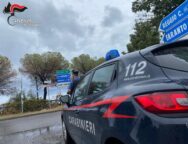 Controlli dei Carabinieri della compagnia di Melito Porto Salvo: Scoperte piante di cannabis e violazioni di misure restrittive