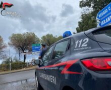 Controlli dei Carabinieri della compagnia di Melito Porto Salvo: Scoperte piante di cannabis e violazioni di misure restrittive