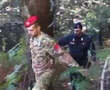 Careri di Plati’: Carabinieri rinvengono e distruggono oltre 1.100 piante di Marijuana. Un arresto (VIDEO)