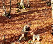 Dall’1 al 3 novembre torna a Campotenese “Tartufi e Funghi del Pollino”