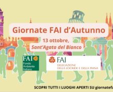 GFA 2024-delegazione Locride e Piana, Musei e Murales nel centenario di Saverio Strati