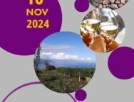 SAN MARTINO SUI TERRAZZAMENTI DELLO ZIBIBBO DI BAGNARA C. con un giorno di anticipo per celebrare vini, vigne e vignaioli. Domenica 10 novembre 2024 dalle ore 10