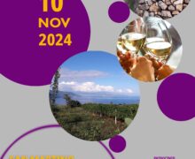 SAN MARTINO SUI TERRAZZAMENTI DELLO ZIBIBBO DI BAGNARA C. con un giorno di anticipo per celebrare vini, vigne e vignaioli. Domenica 10 novembre 2024 dalle ore 10