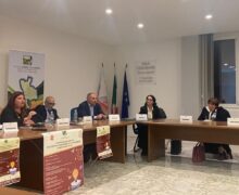 Gal “Serre Calabresi”, forum informativo sulle startup innovative, strumento di un’economia moderna