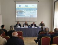 Si è svolto lunedì 11 novembre 2024 a Lamezia Terme il seminario “LA VISIONE DEI BAMBINI IN ETA’ SCOLARE”