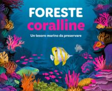 CAI Sezione Aspromonte 26 novembre ore 21,00 presentazione del libro “Foreste Coralline” incontro con l’autrice Emilia Fulgido